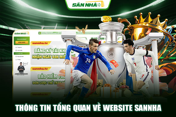 Thông tin tổng quan về website Sannha